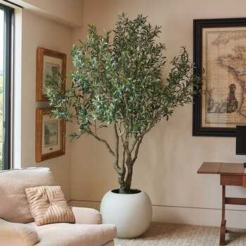 Artificial 8ft Olive Tree in Planter Artificial 8ft Olive Tree in Planter