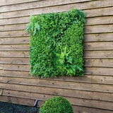 Artificial Mixed Foliage 1m x 1m Wall Panel, Pack of 5